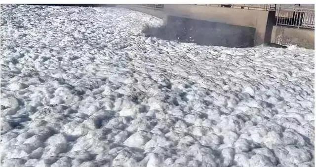 生物泡沫 生物泡沫