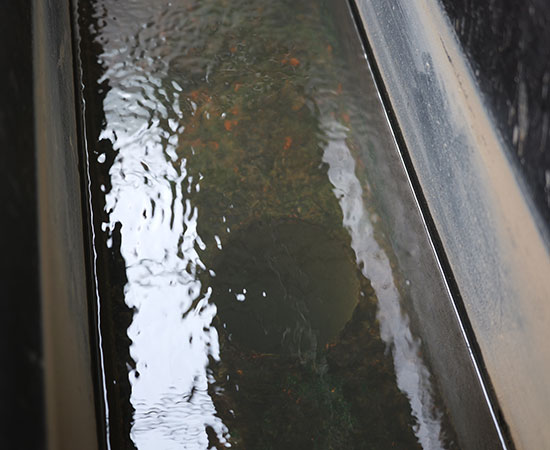 氣浮機除磷效果好嗎？